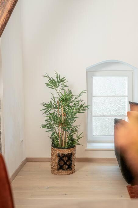 Gemuetliche Oase Im Denkmal Appartement Bonnigheim Buitenkant foto